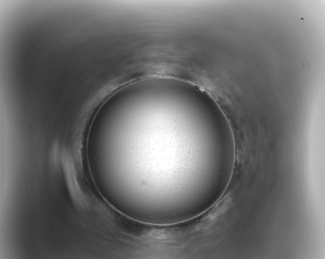 X0000089420341200706221157