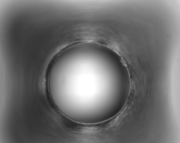 X0000089420342200706221157