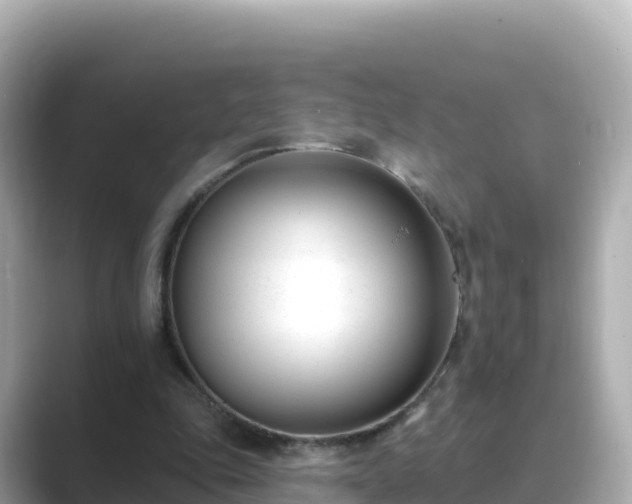 X0000089420343200706221157