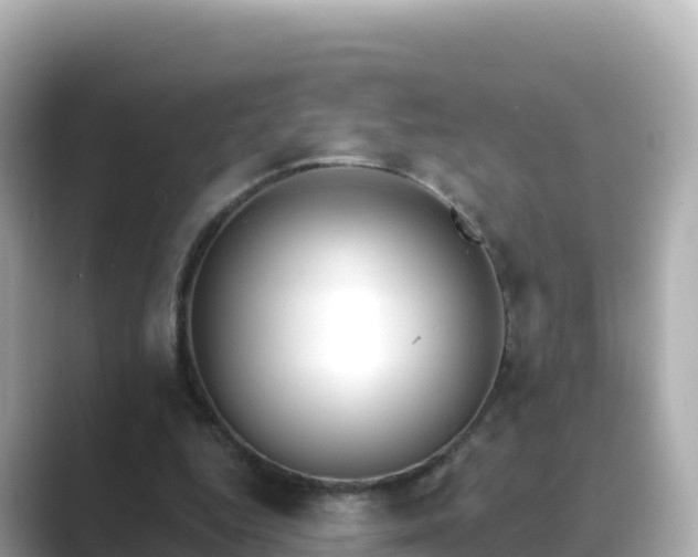 X0000089420344200706221157