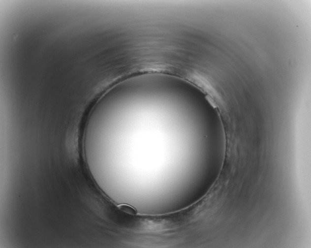 X0000089420346200706221157