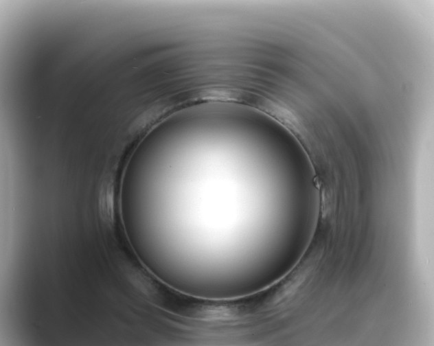 X0000089420349200706221157