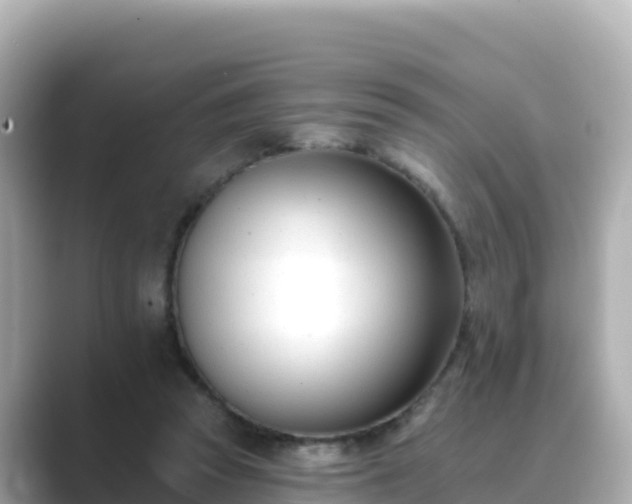 X0000089420353200706221157