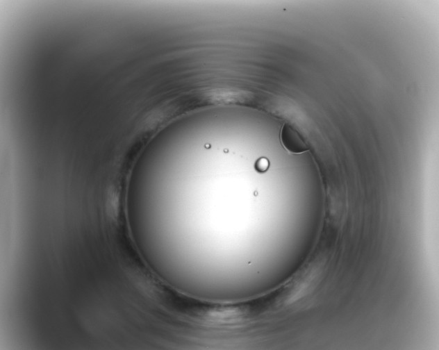 X0000089420357200706221157