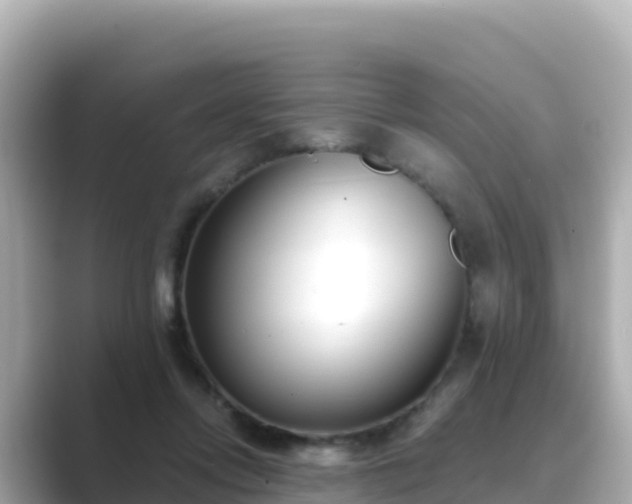 X0000089420358200706221157