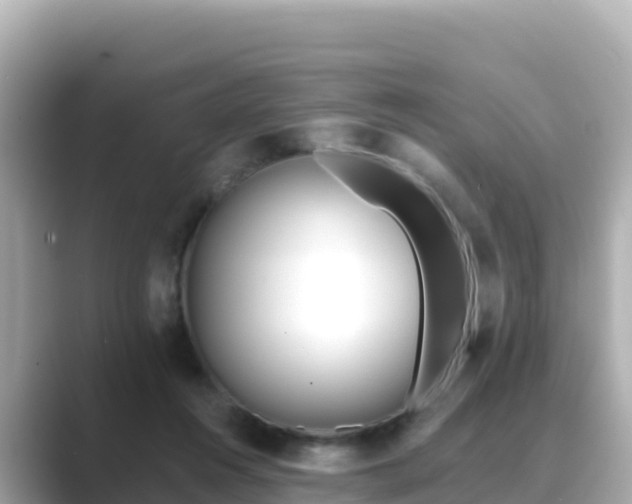 X0000089420360200706221157