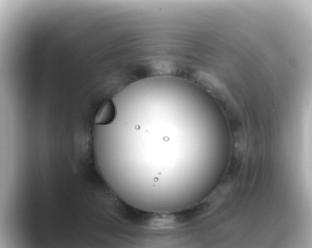 X0000089420369200706221157