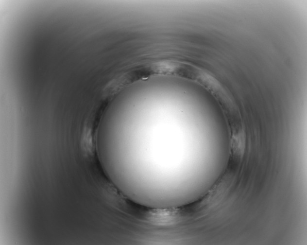 X0000089420381200706221158