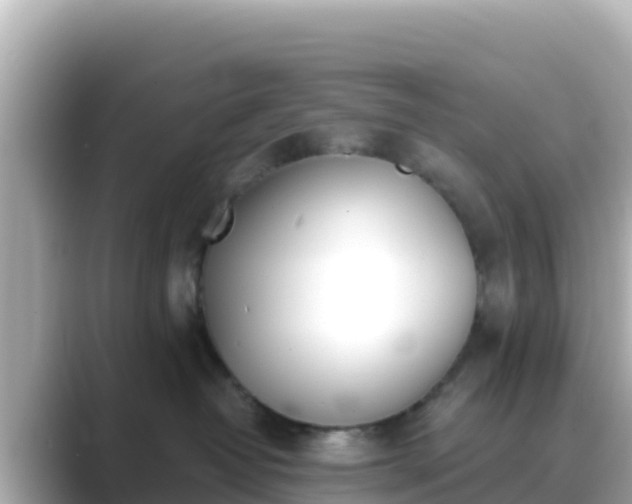 X0000089420382200706221158