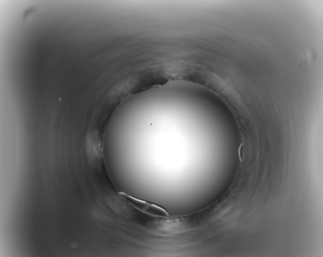 X0000089420384200706221158