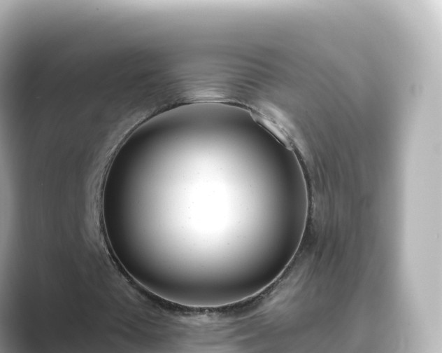 X0000089420385200706221157