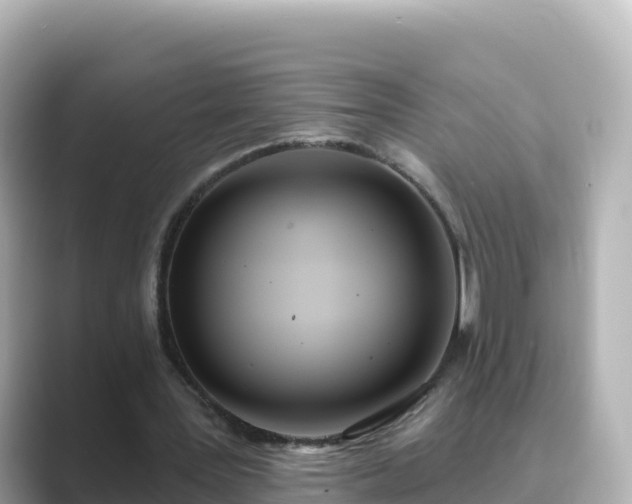 X0000089420387200706221157