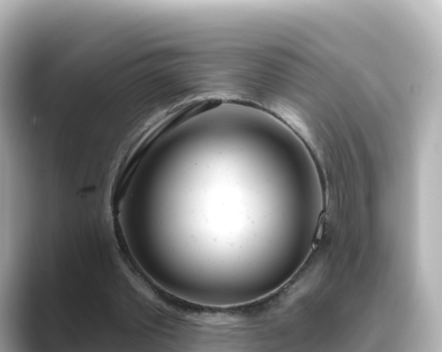 X0000089420389200706221157