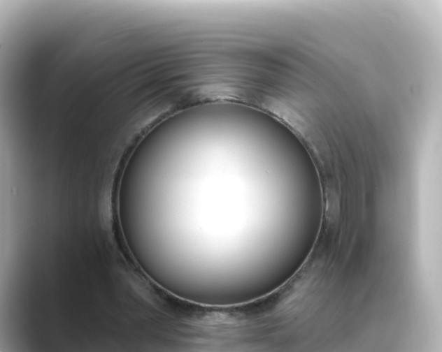 X0000089420390200706221157