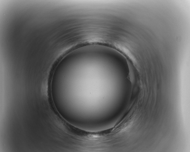 X0000089420391200706221157