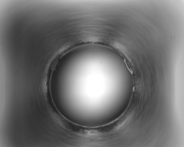 X0000089420395200706221157