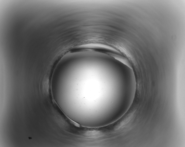 X0000089420397200706221157