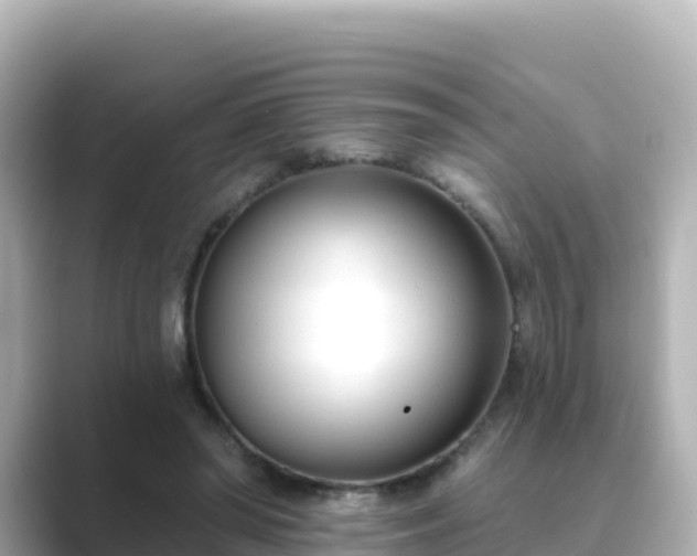 X0000089420398200706221157