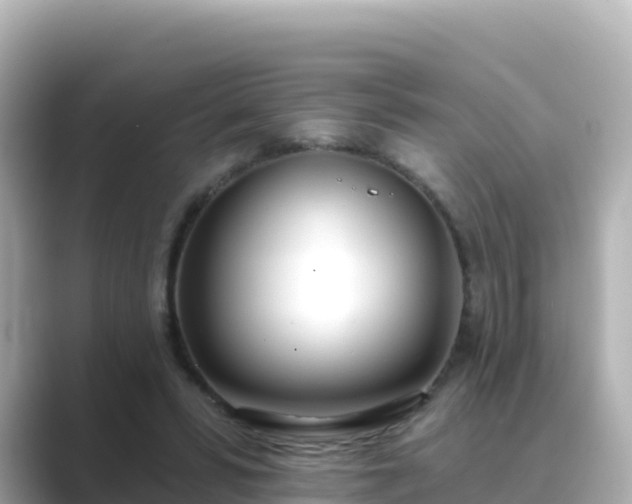 X0000089420399200706221157