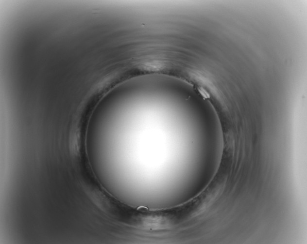 X0000089420400200706221157