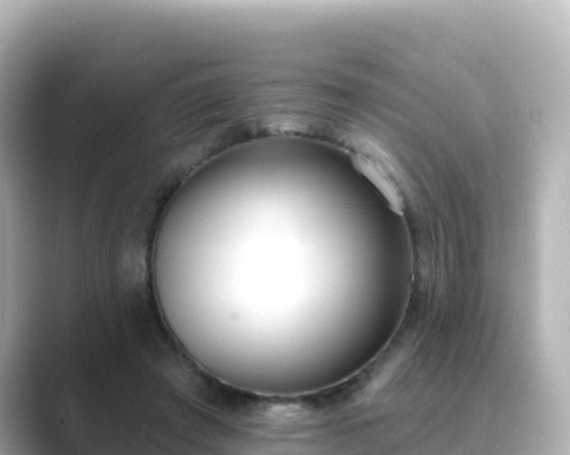 X0000089420401200706221157