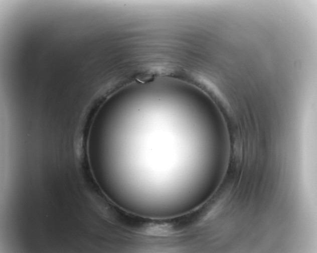 X0000089420403200706221157