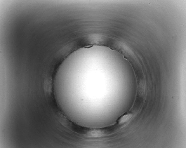 X0000089420413200706221157