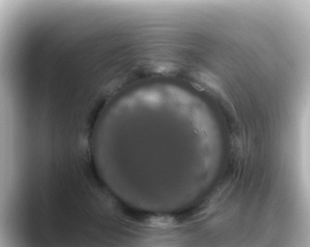 X0000089420415200706221157