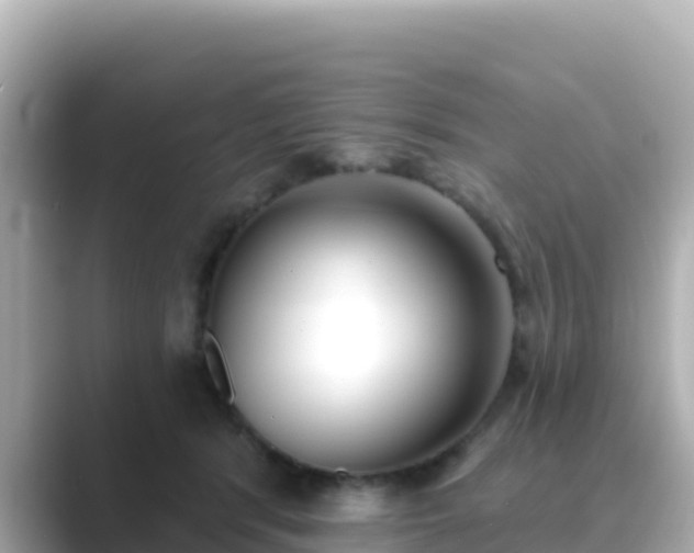 X0000089420416200706221157