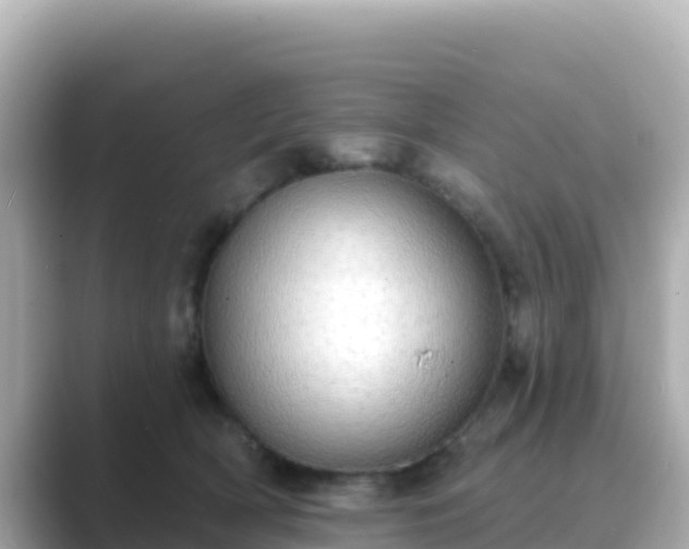 X0000089420418200706221157