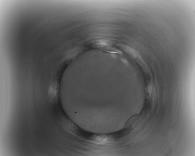 X0000089420423200706221157