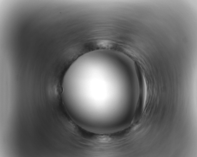 X0000089420424200706221157