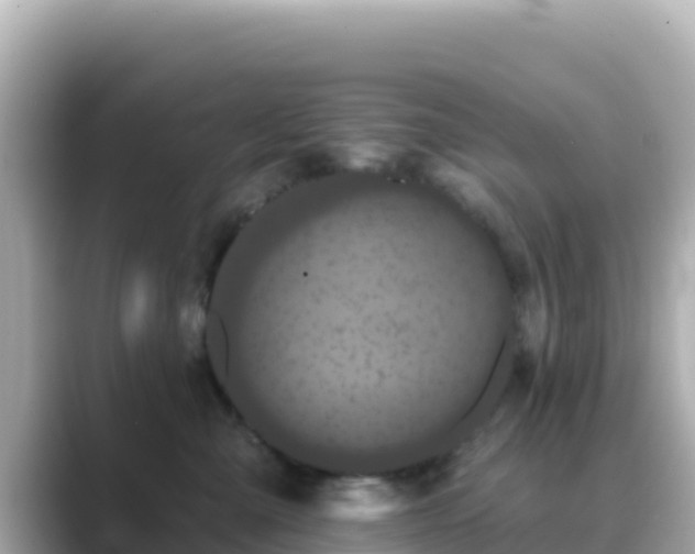 X0000089420427200706221157