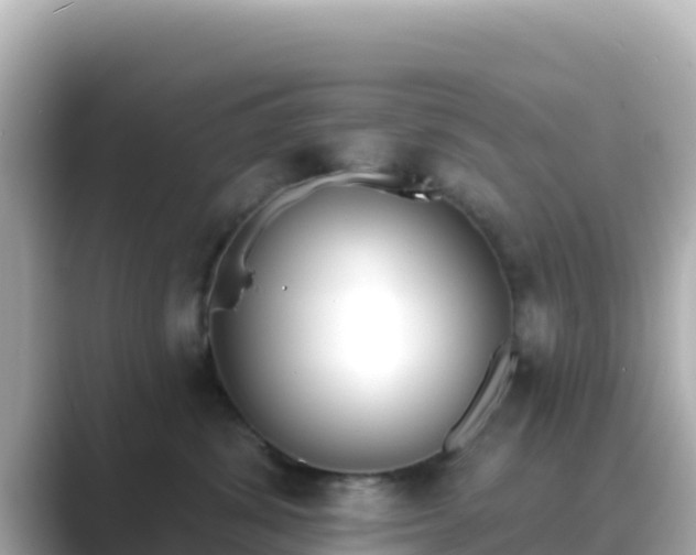 X0000089420428200706221157