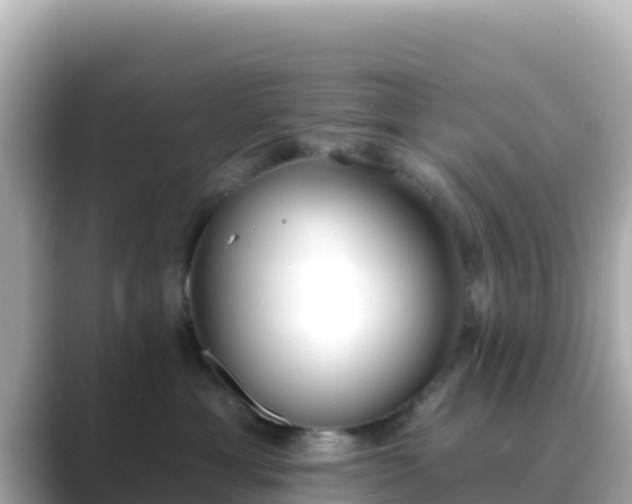 X0000089420429200706221157