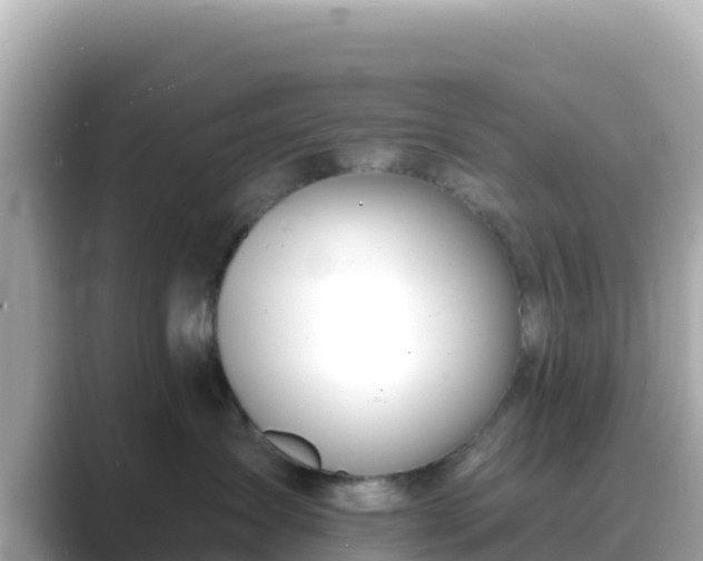 X0000089420431200706221157