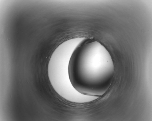 X0000089420432200706221156