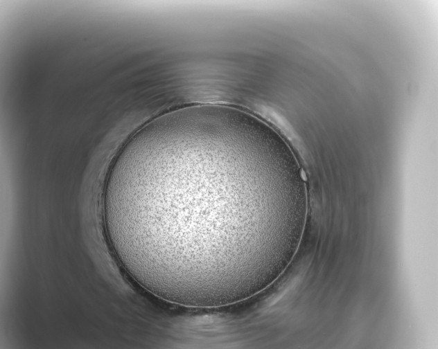 X0000089420433200706221156