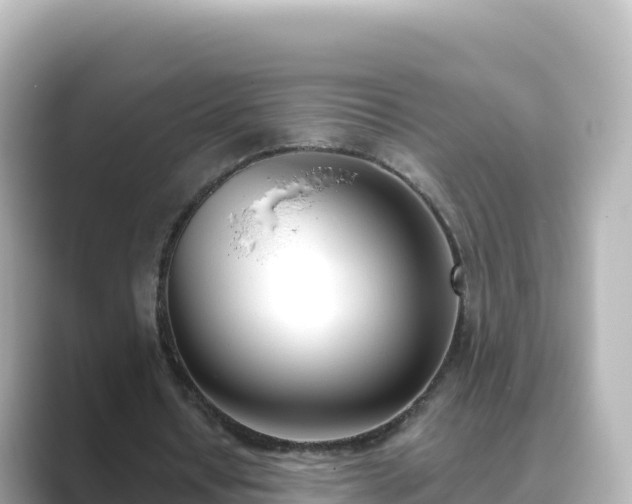 X0000089420434200706221156