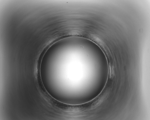 X0000089420435200706221156