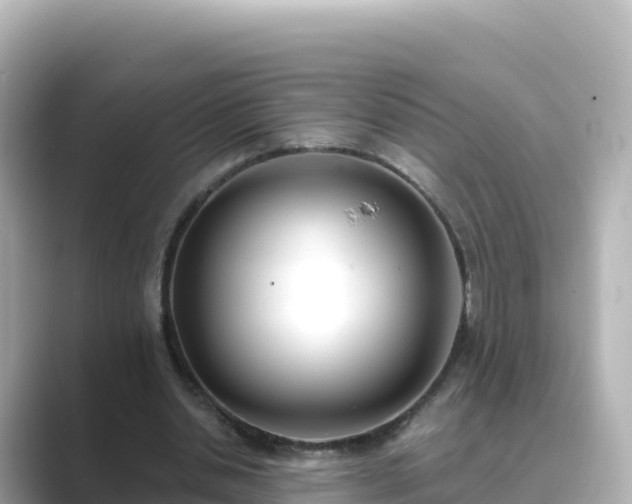 X0000089420438200706221156