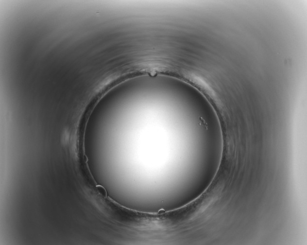 X0000089420439200706221156