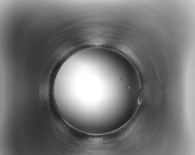 X0000089420440200706221156