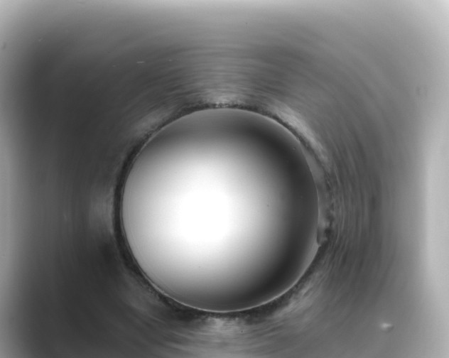 X0000089420442200706221156