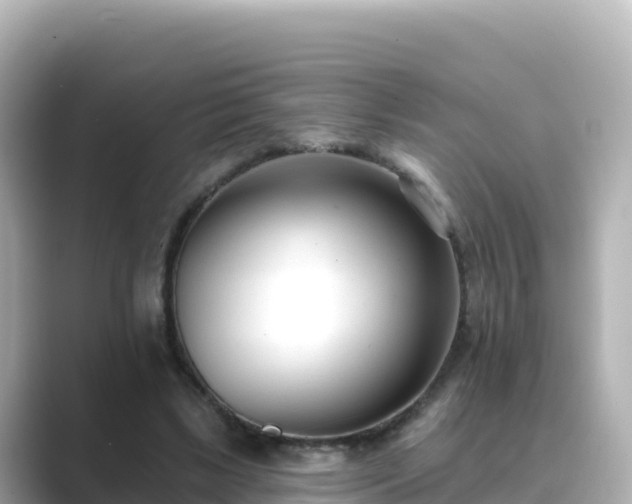 X0000089420443200706221156