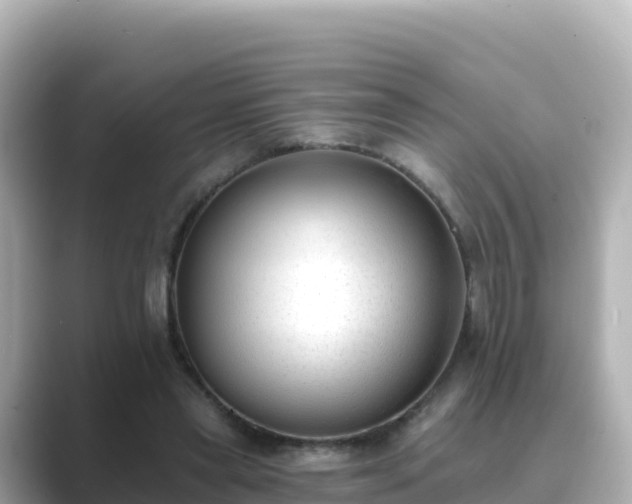 X0000089420445200706221156