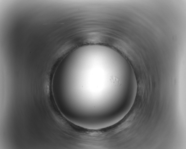 X0000089420446200706221156