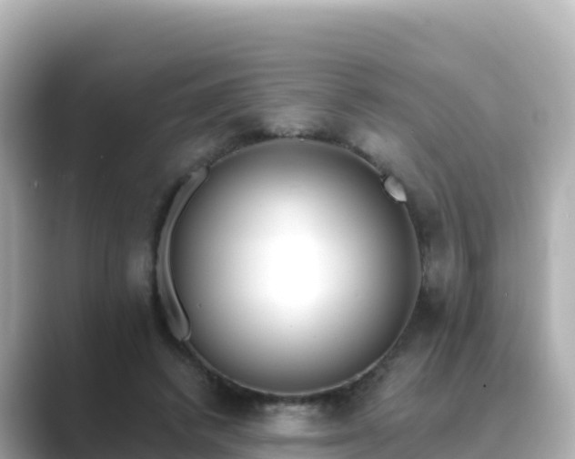 X0000089420448200706221156