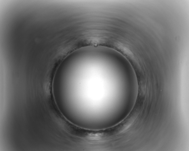 X0000089420450200706221156