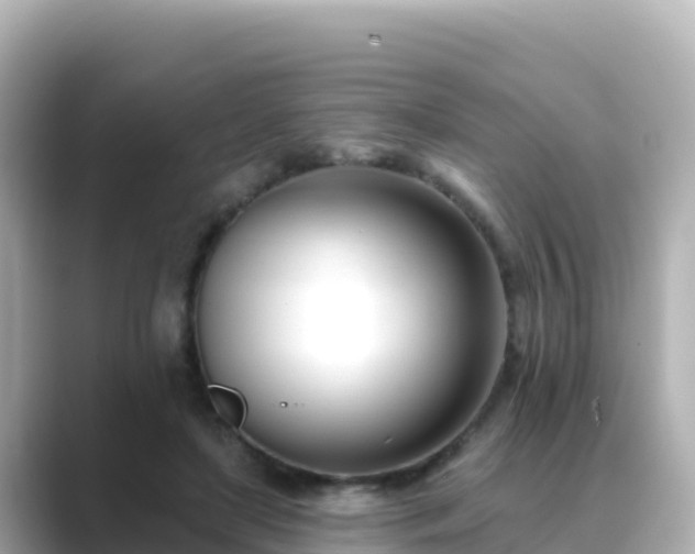 X0000089420451200706221156